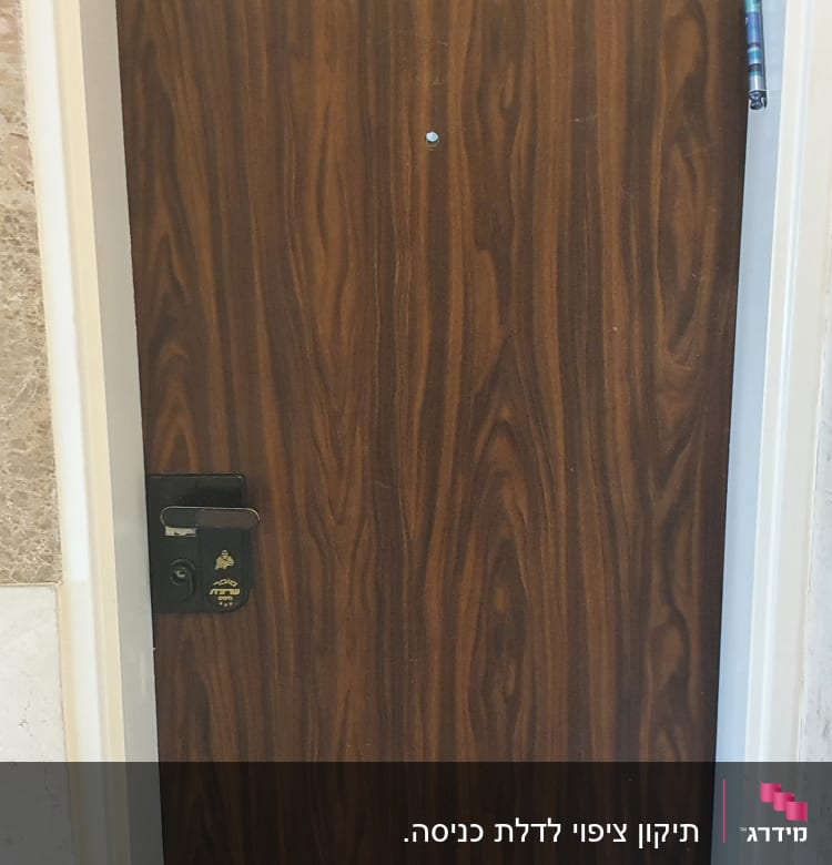 דלת עץ עם ציפוי דמוי עץ כהה